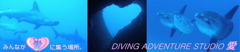 悤IDIVING ADVENTURE STUDIO  ցII